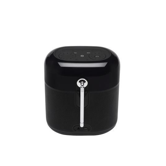 JBL Tuner XL - Black - Portable powerful DAB/DAB+/FM radio with Bluetooth - Back image number null